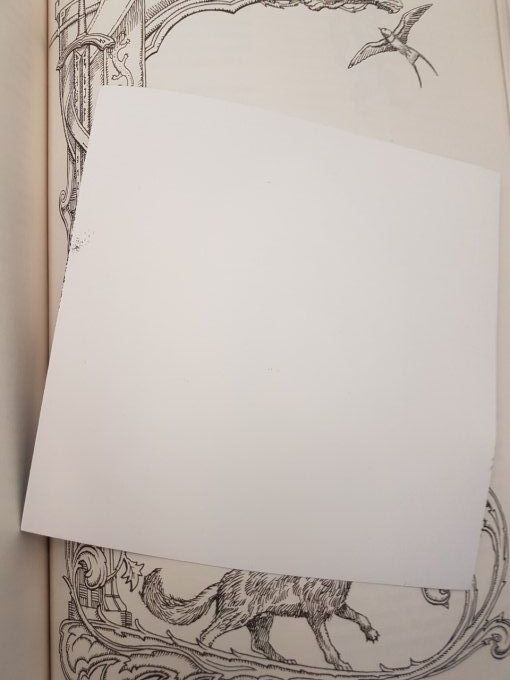 Linogravure "Le gardien du trésor"- Papier blanc